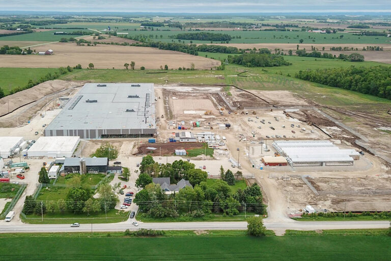 Medicinal Cannabis Production Facility