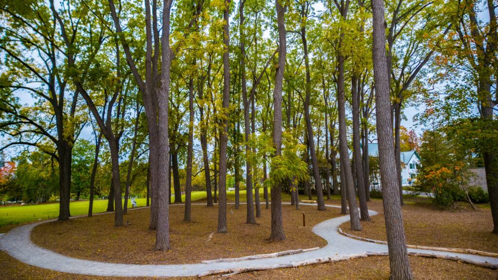 An Extraordinary Park for Today & Tomorrow, photo 16 of 16